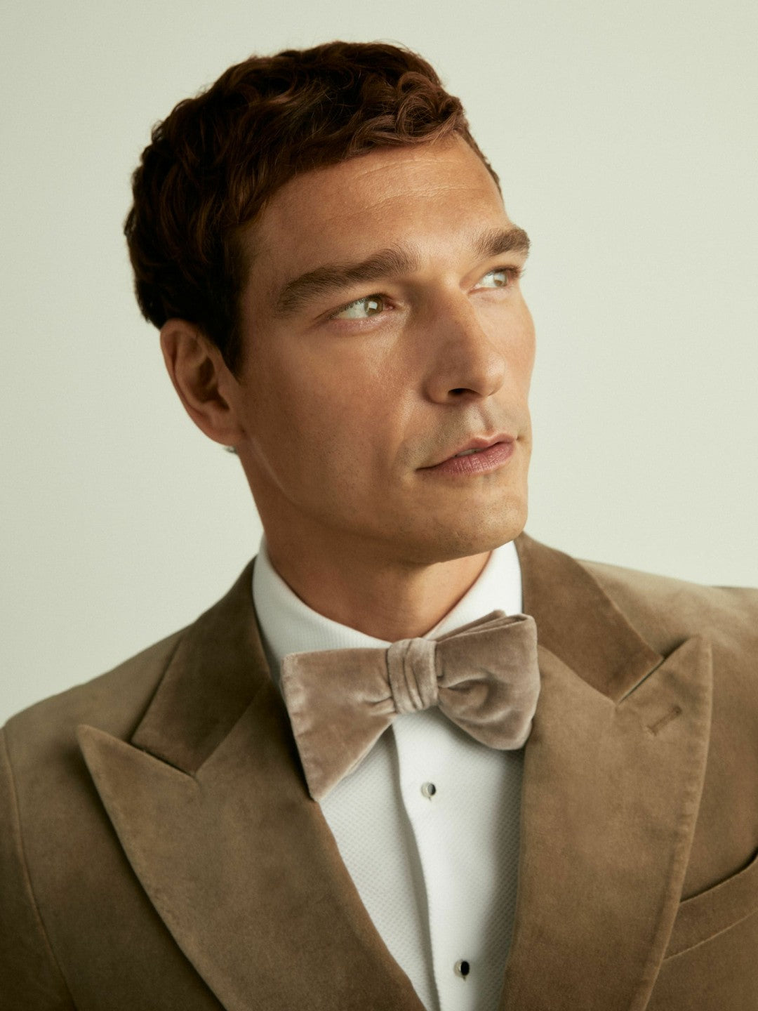 Velvet Bow Tie in Taupe Brown Men | Reiss