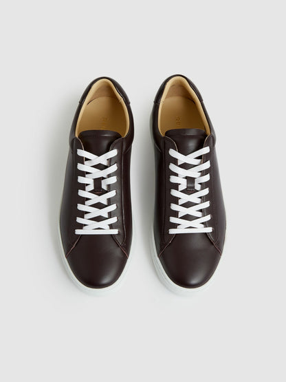 Leather Low-Top Trainers in Plum Purple Men | Reiss
